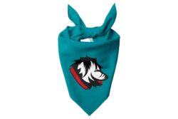 Bandana mascota