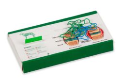 Dispensador clips hueso y banderitas